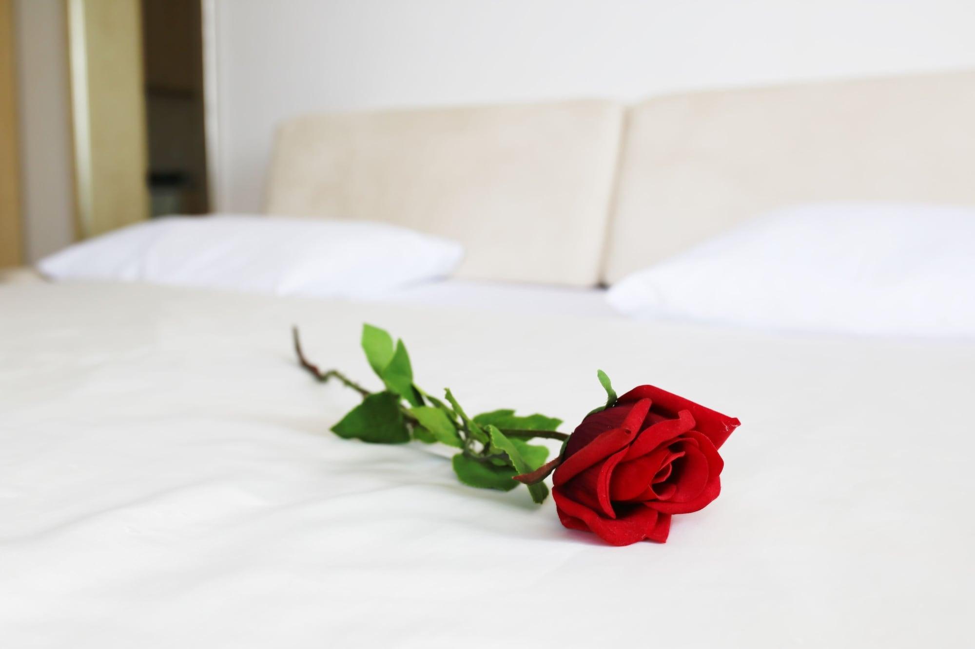 Apartament Tamarix