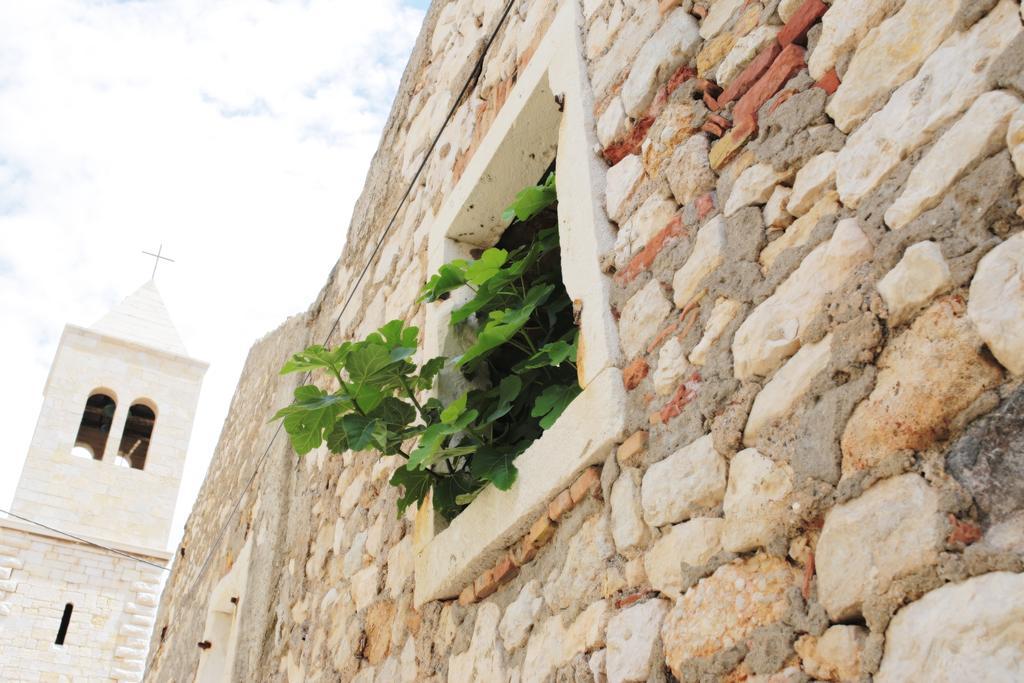 Apartament Tamarix *